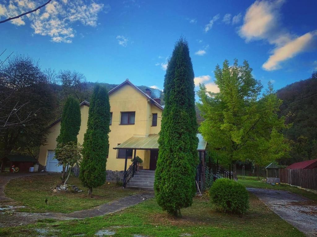 Дома для отпуска Casa Pădurenilor- Ținutul Pădurenilor Ciuleni-68